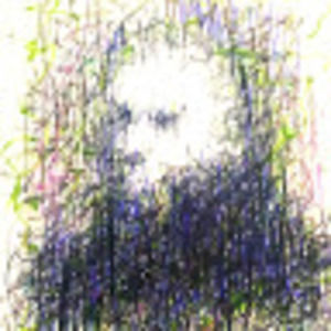 Meet your Posher, Gordon